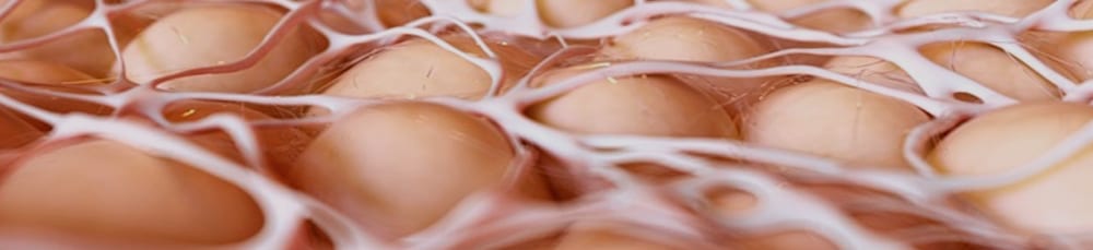 grasa parda: tu grasa buena