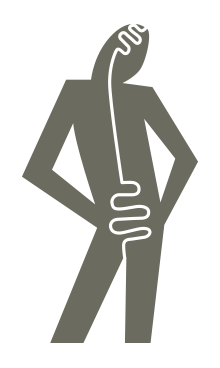 La microbiota conecta el eje intestino-cerebro