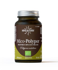 Mico-Polypor-2024-B
