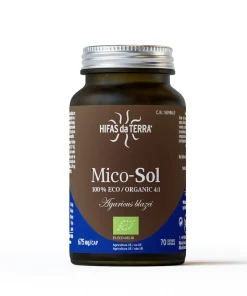 Mico-Sol Hifas da Terra