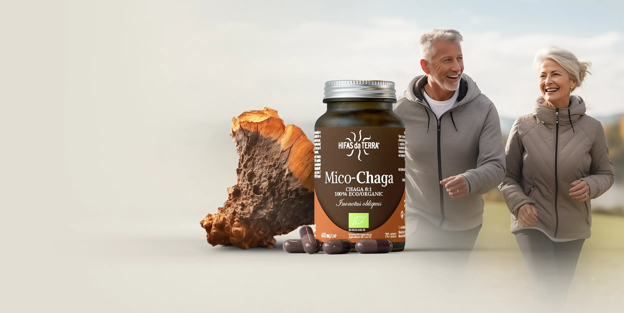Chaga Banner (Desktop)