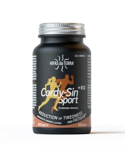 Cordy-Sin Sport-ES-PT-2024-B